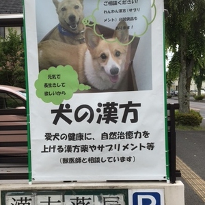 愛犬の健康のために漢方薬を、獣医師とコラボが始まります！