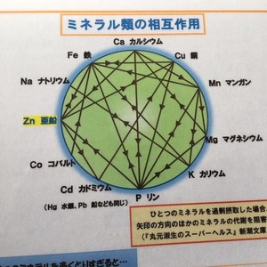 妊娠成立を考えるミネラルのお話　（亜鉛と銅）