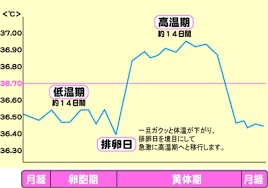 基礎体温 (268x188).jpg