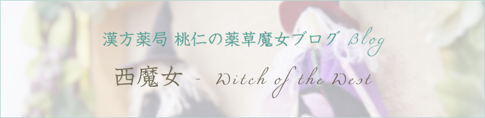 漢方薬局 桃仁の薬草魔女ブログ -西魔女-