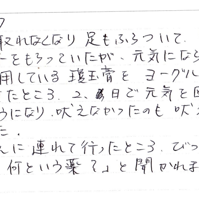 12歳のチワワ、漢方薬で復活、獣医さんもビックリしてました。